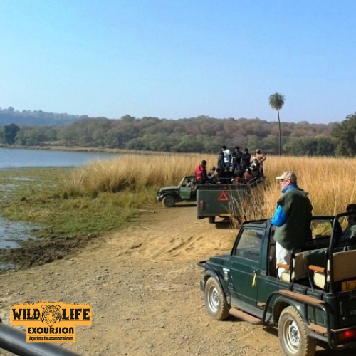 Chambal Safari Booking