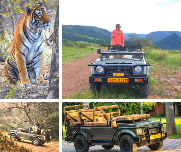 Wildlife Safari Booking