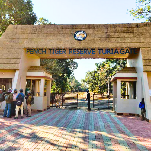 Pench National Park to Kanha National Park Tour Package