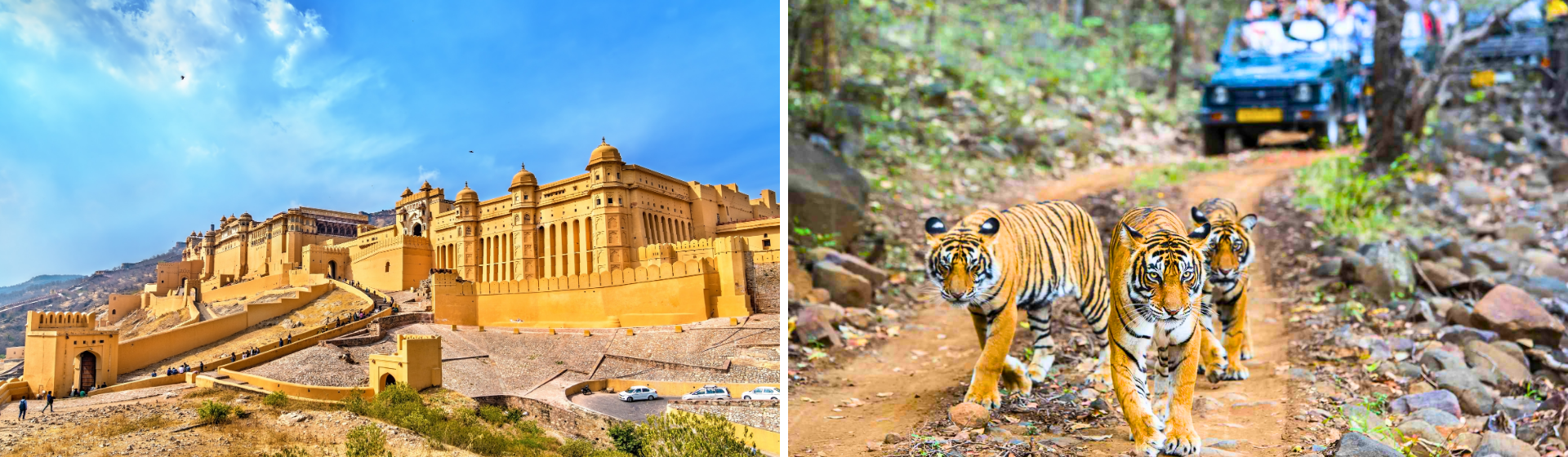 Jaipur to Ranthambore Tour Package