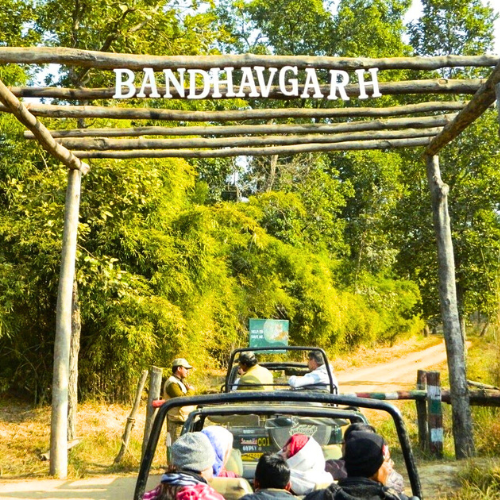 BANDHAVGARH NATIONAL PARK
