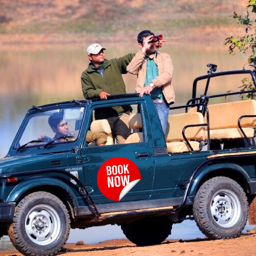 Luxury Jeep Safari Booking